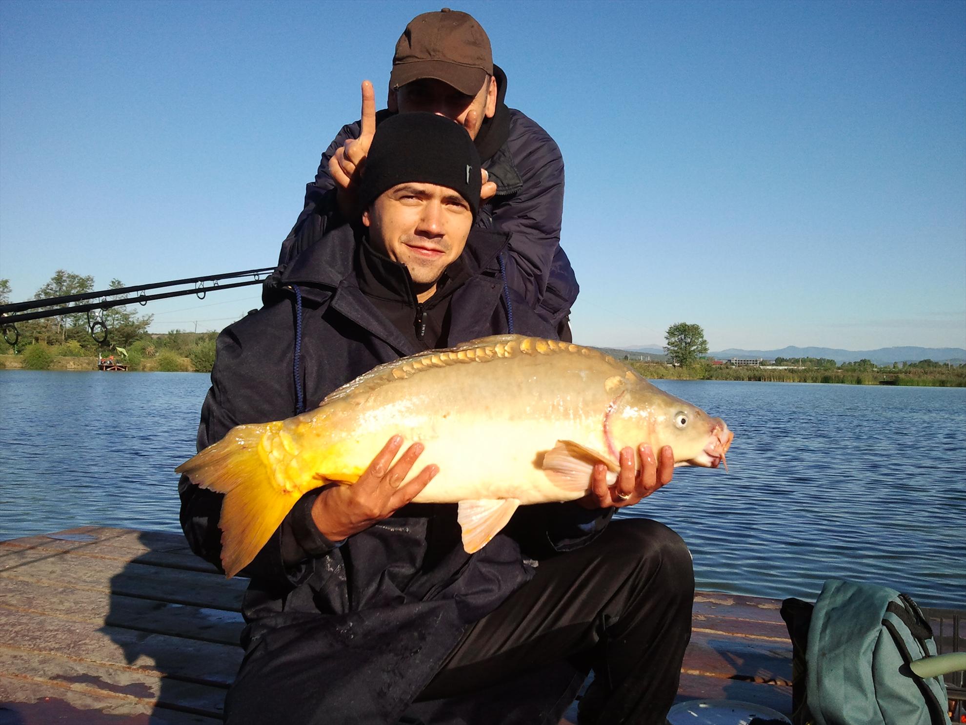 Pleasa 2012 - 2012-09-23-090029.jpg